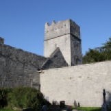 Ross Castle is a 15th-century tower house and keep on the edge of Lough Leane, in Killarney National Park